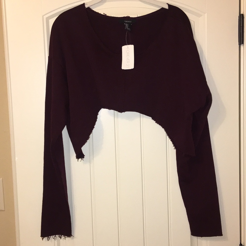 Maroon Cropped sweater